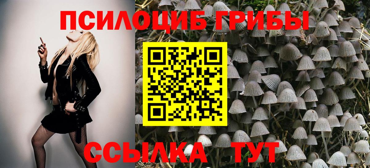 продажа наркотиков  Псилоцибиновые грибы ЛСД  Псилоцибиновые грибы мухоморы  Вход с VPN  Казань 